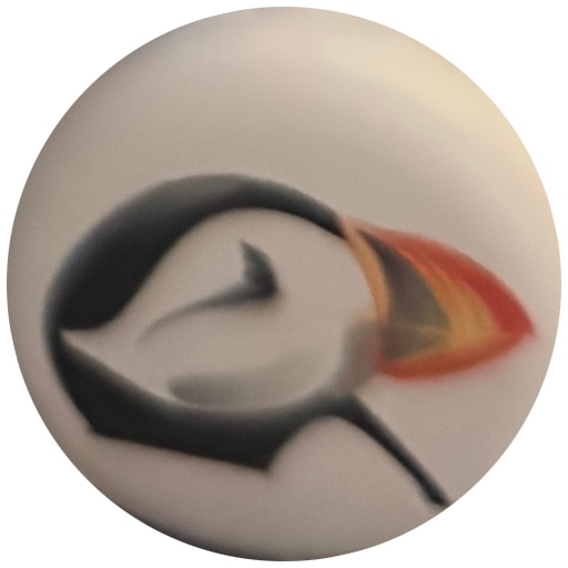 Oiseau noir et blanc à crête orange