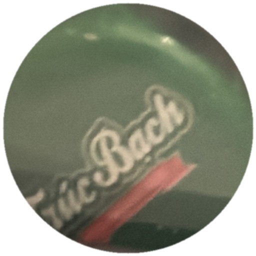 Trúc Bạch