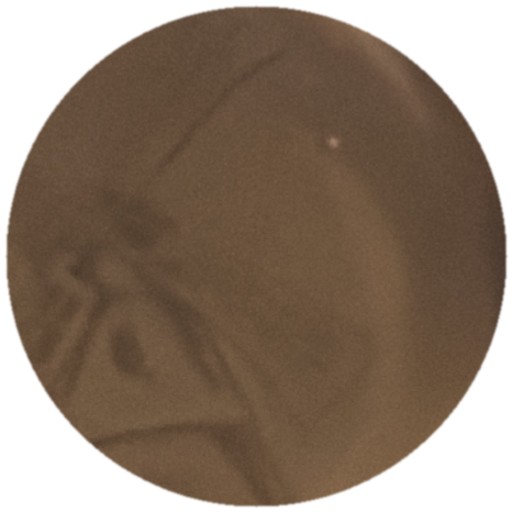 Unie bronze