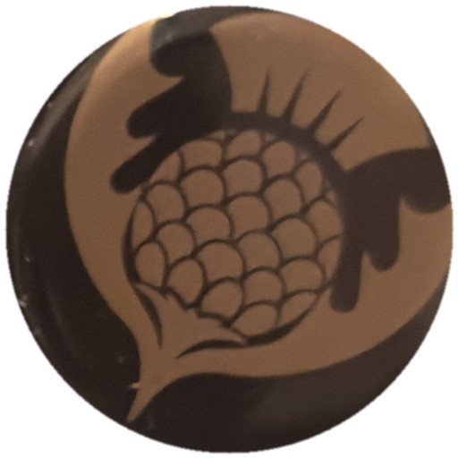 Chardon beige sur noir