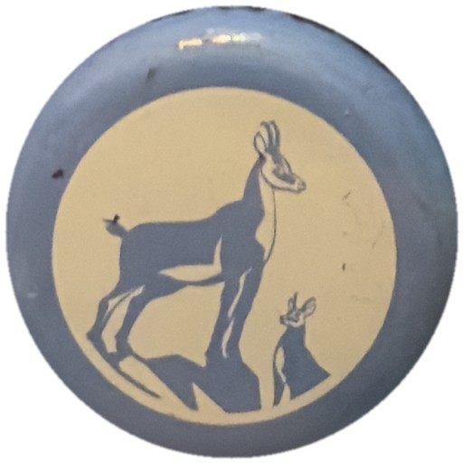 Chamois bleu sur bleu clair