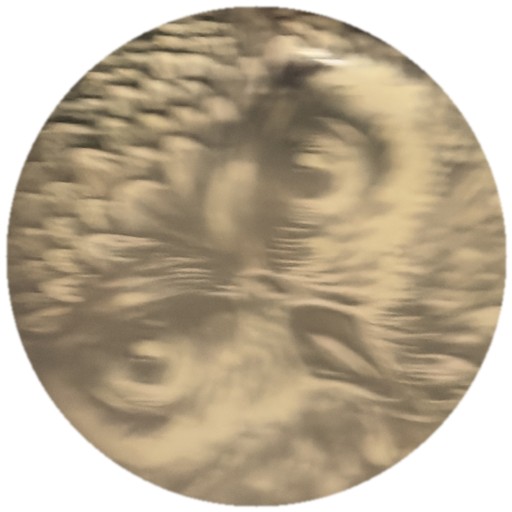 Hibou doré