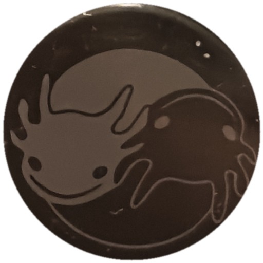 Axolotl gris sur noir