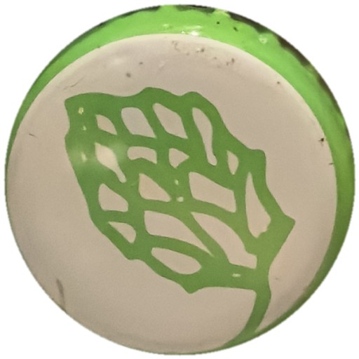 Houblon au trait vert sur blanc