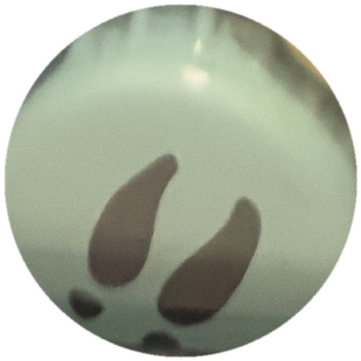 Empreintes de pas noires sur vert d'eau