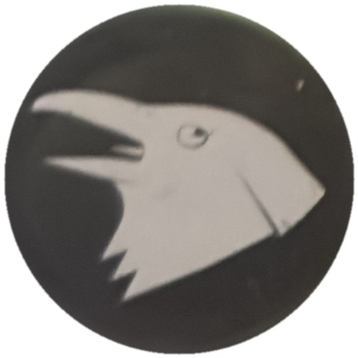 Corbeau blanc sur noir