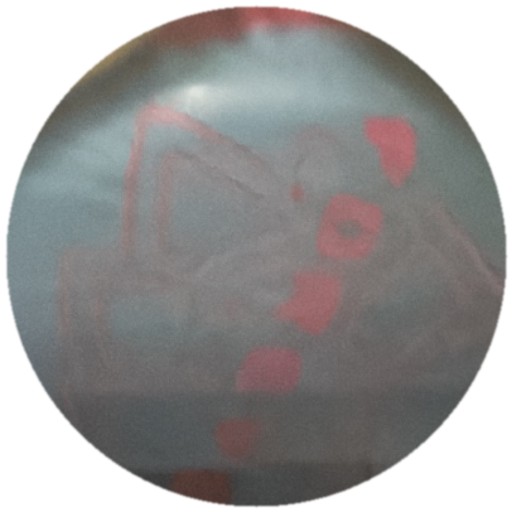 Bleue motif rose flou