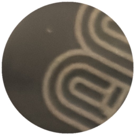 Arcs blancs sur gris