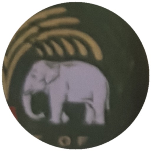 Éléphant blanc sur vert