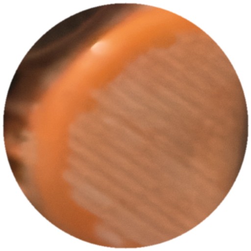 Orange striée