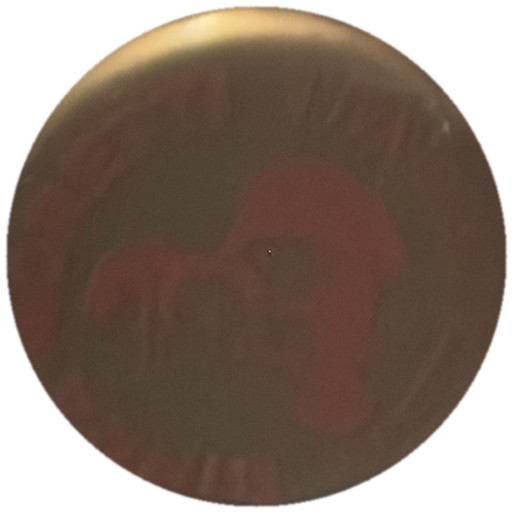 Motif rouge effacé sur doré (personnage)