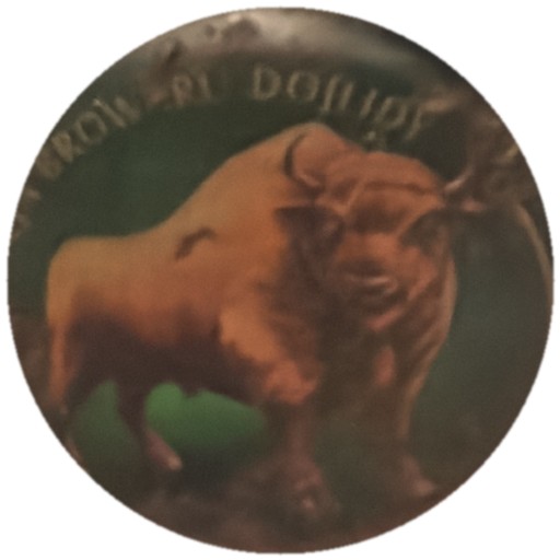 Bison sur vert