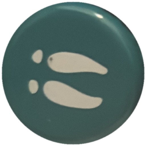 Empreintes blanches sur turquoise