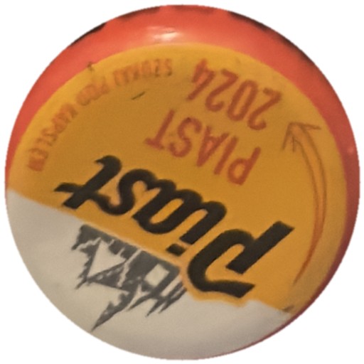 Piast 2024